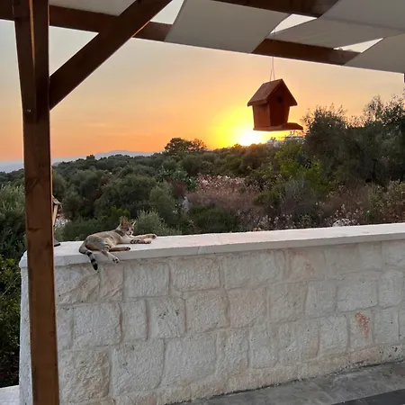 Bella فيلة *